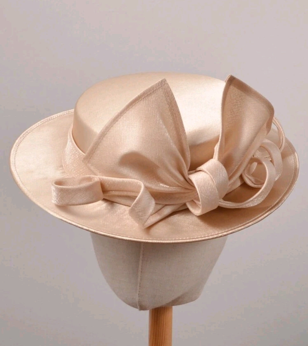 Elegant Wide-Brimmed Fascinators Hat