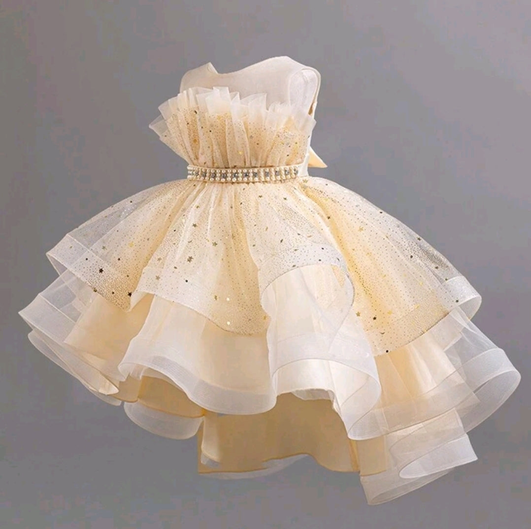 Sleeveless Party Princess Dress