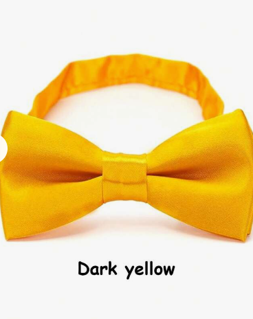 5pcs Kids' Wedding Bow Tie