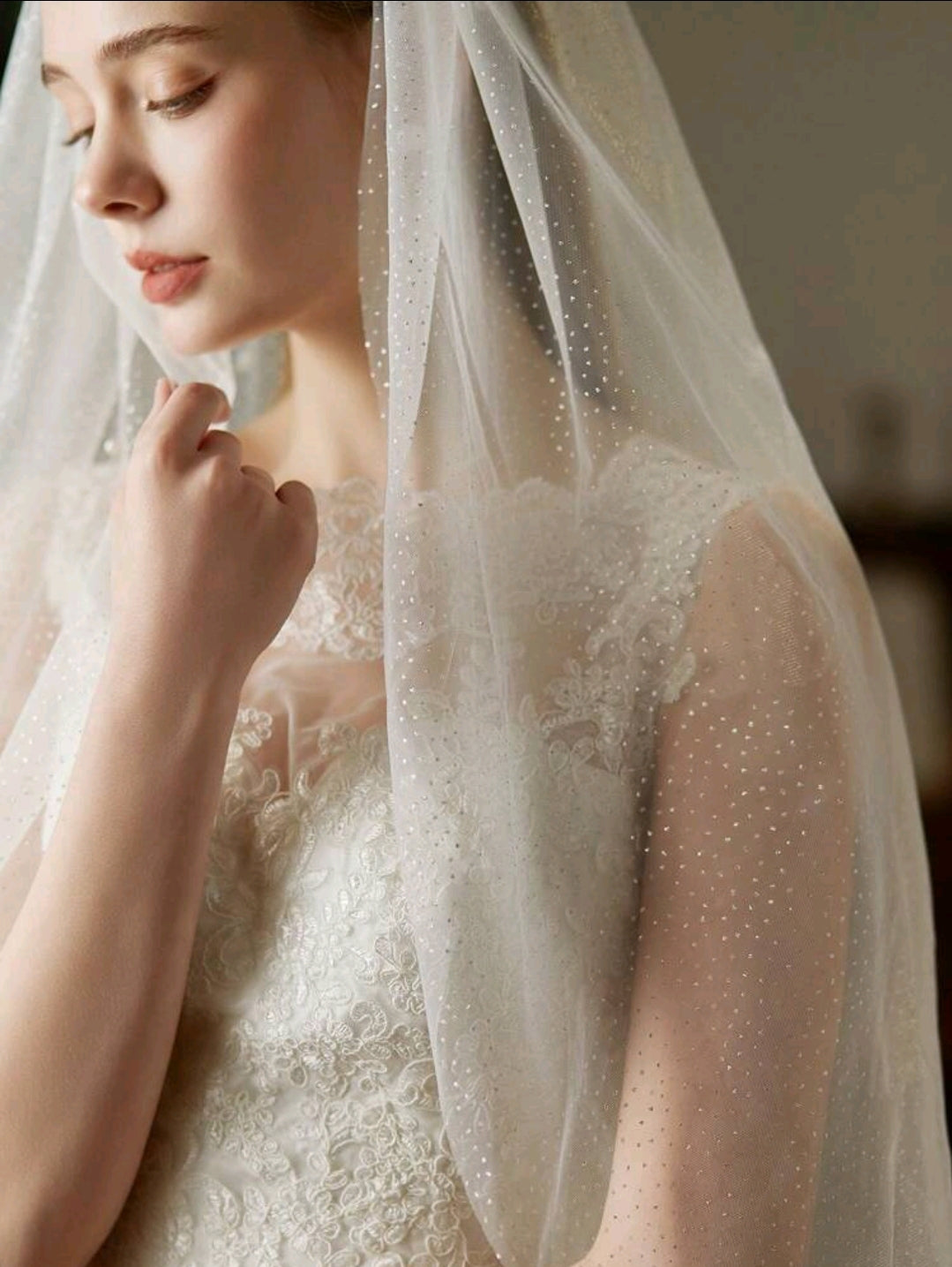 Glitter Silver Dots Tulle Wedding Bridal Veil